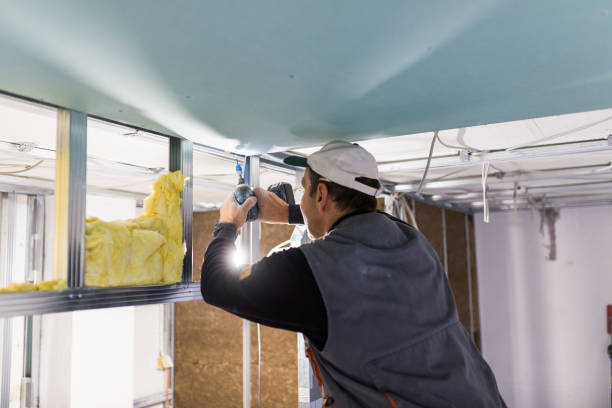 Best Insulation Contractors for Homes  in Nome, AK